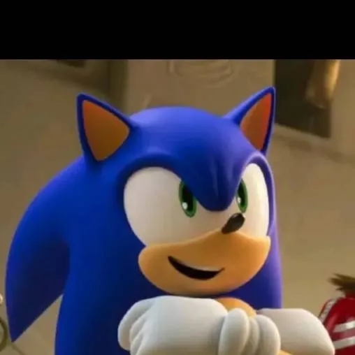 chat with ai character: hermanos Sonic