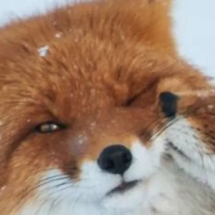 chat with ai character: Posts