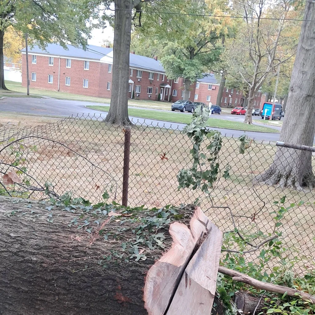 chat with ai character: dww