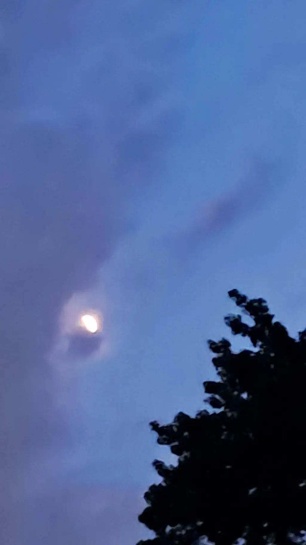 ai character: dwschool background