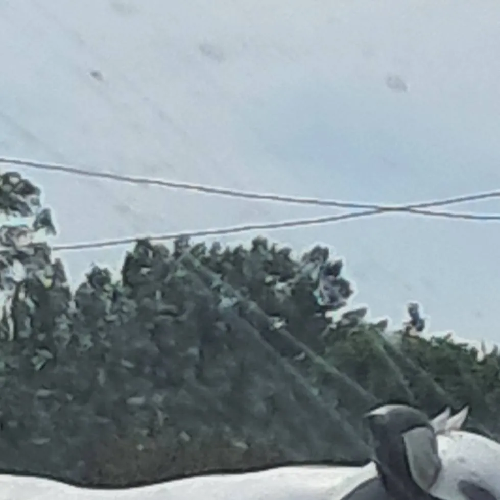 chat with ai character: dwloveu :l