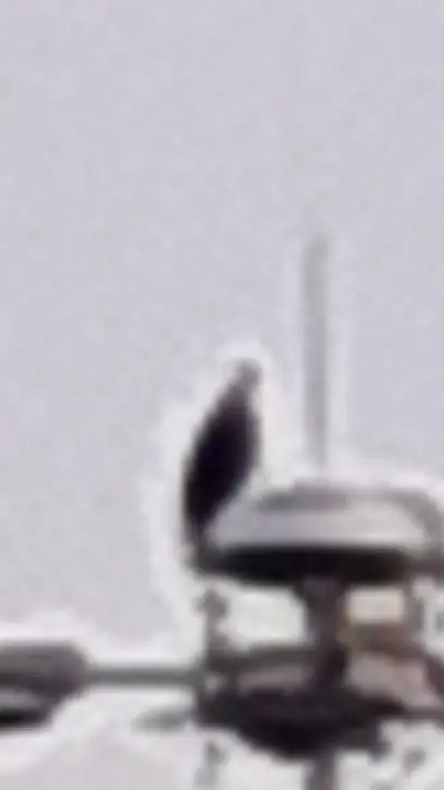 ai character: dw shcool background