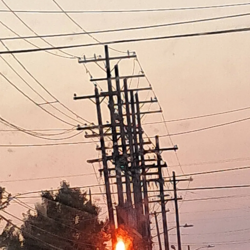 chat with ai character: dandys Christmas 