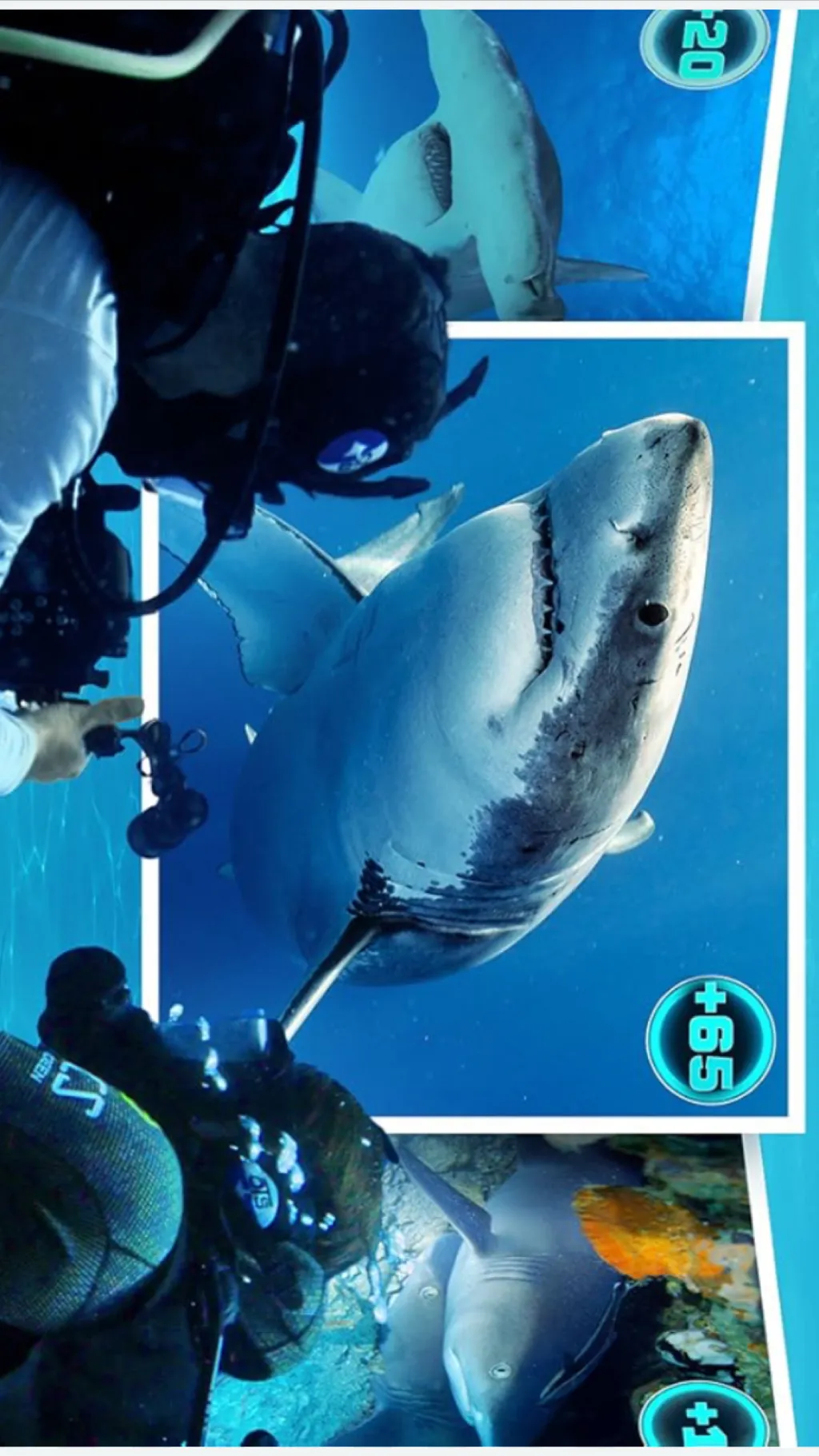 ai character: All The Sharks background