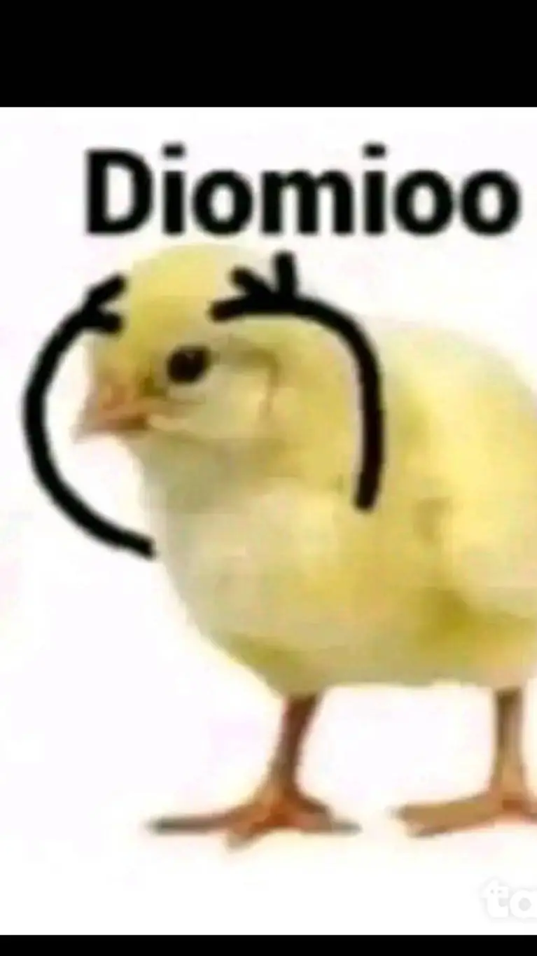 ai character: Diomioo background