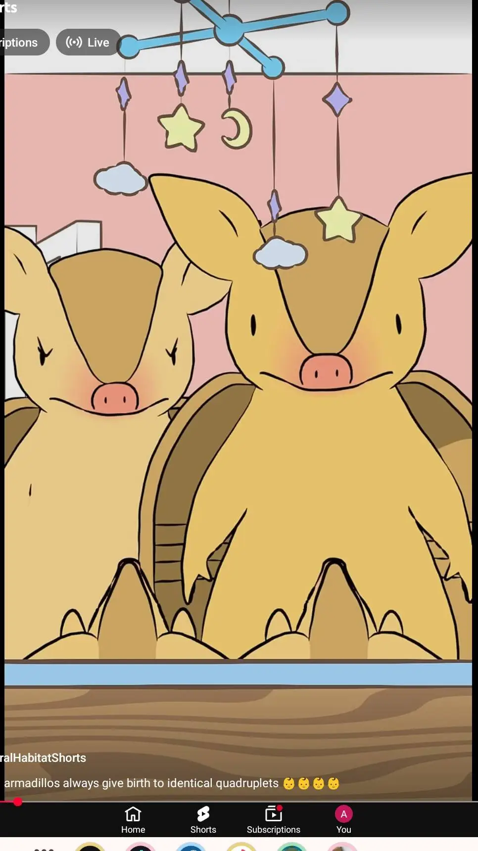 ai character: armadillo problem background