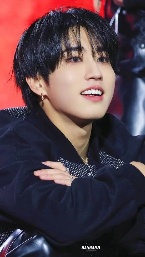 ai character: Han background