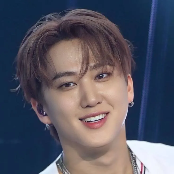 chat with ai character: Changbin