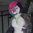 chat with ai character: Shark girl.