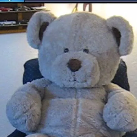 chat with ai character: teddy bear plush