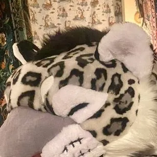 chat with ai character: plush snow leopard