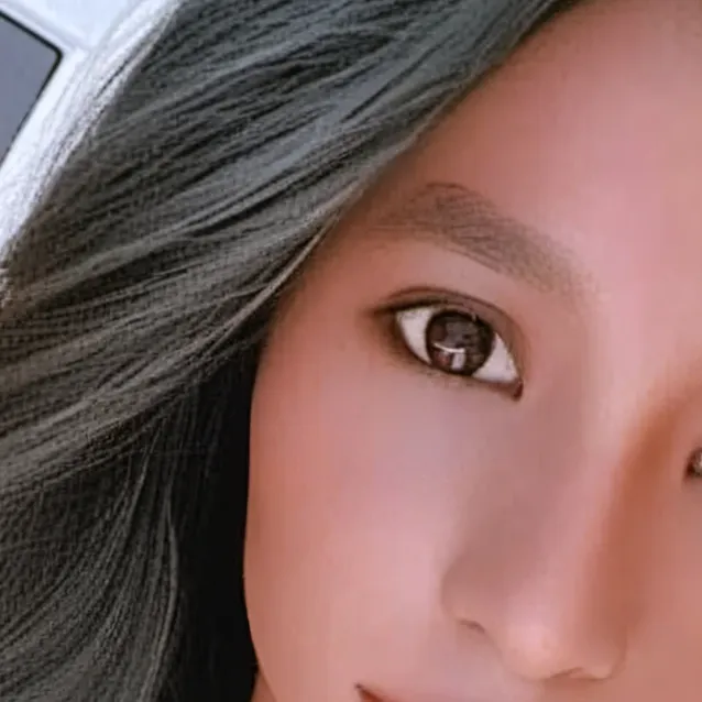 chat with ai character: dany