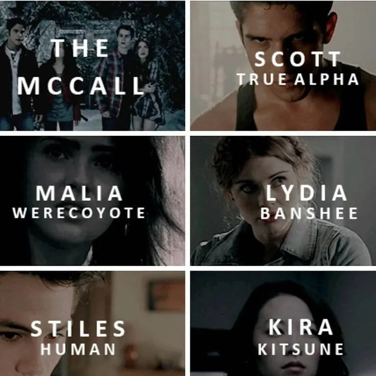 chat with ai character: MCCALL PACK 