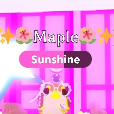 chat with ai character: ✨️🌺Mæpłə🌺✨️