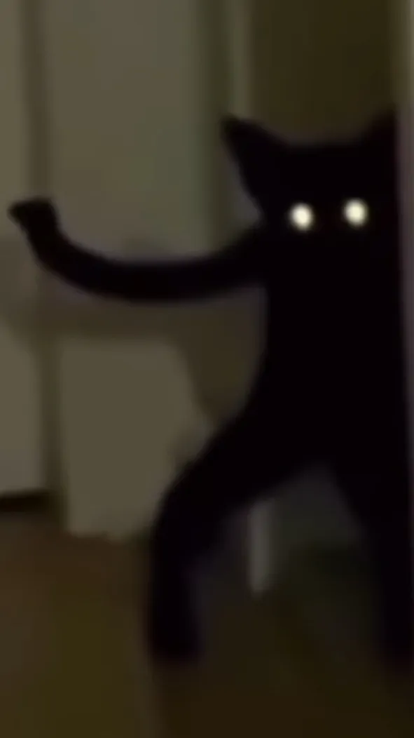 ai character: Goofy cat background