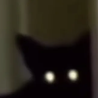 chat with ai character: Goofy cat