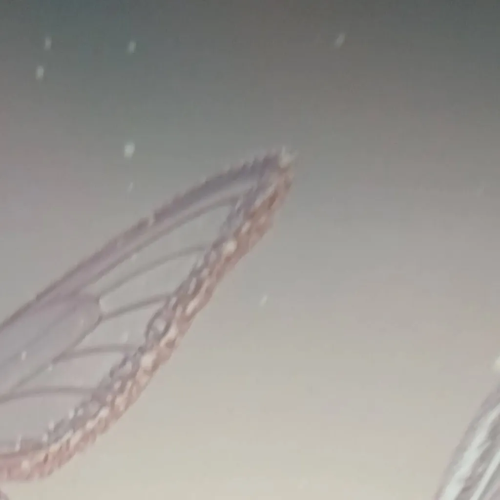 chat with ai character: oui☻︎ou non☹︎