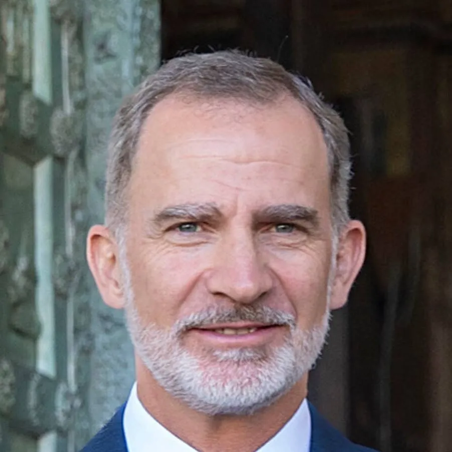 chat with ai character: Felipe VI