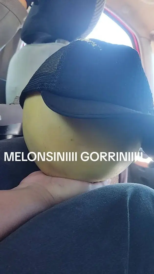 ai character: MELONSINI GORRINI background