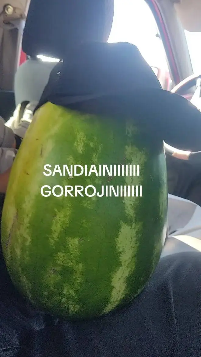 ai character: SANDIAINI GORROJIN background