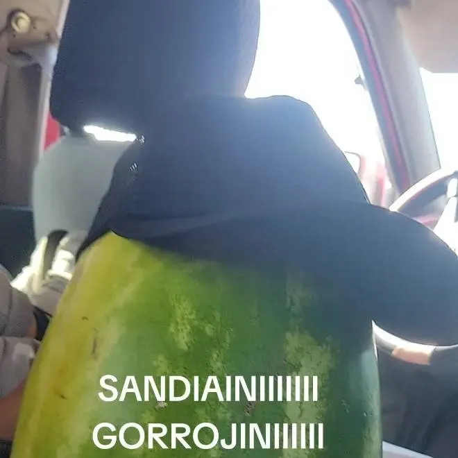 chat with ai character: SANDIAINI GORROJIN