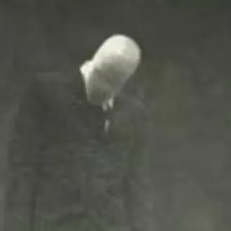 chat with ai character: slender man