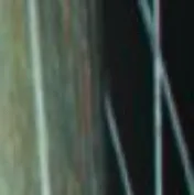 chat with ai character: Konig 