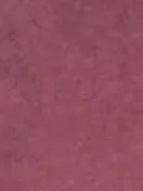 chat with ai character: Cyclonus 