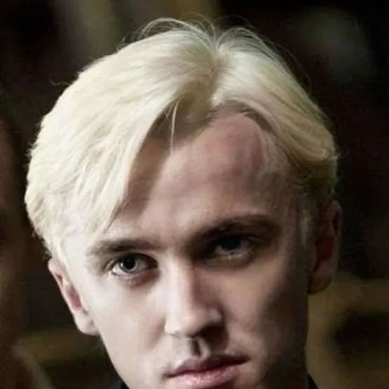 chat with ai character: Draco Malfoy