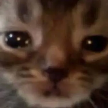 chat with ai character: forsaken pick me😭