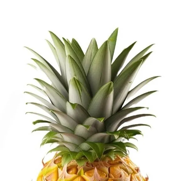 chat with ai character: ✨pineapple✨