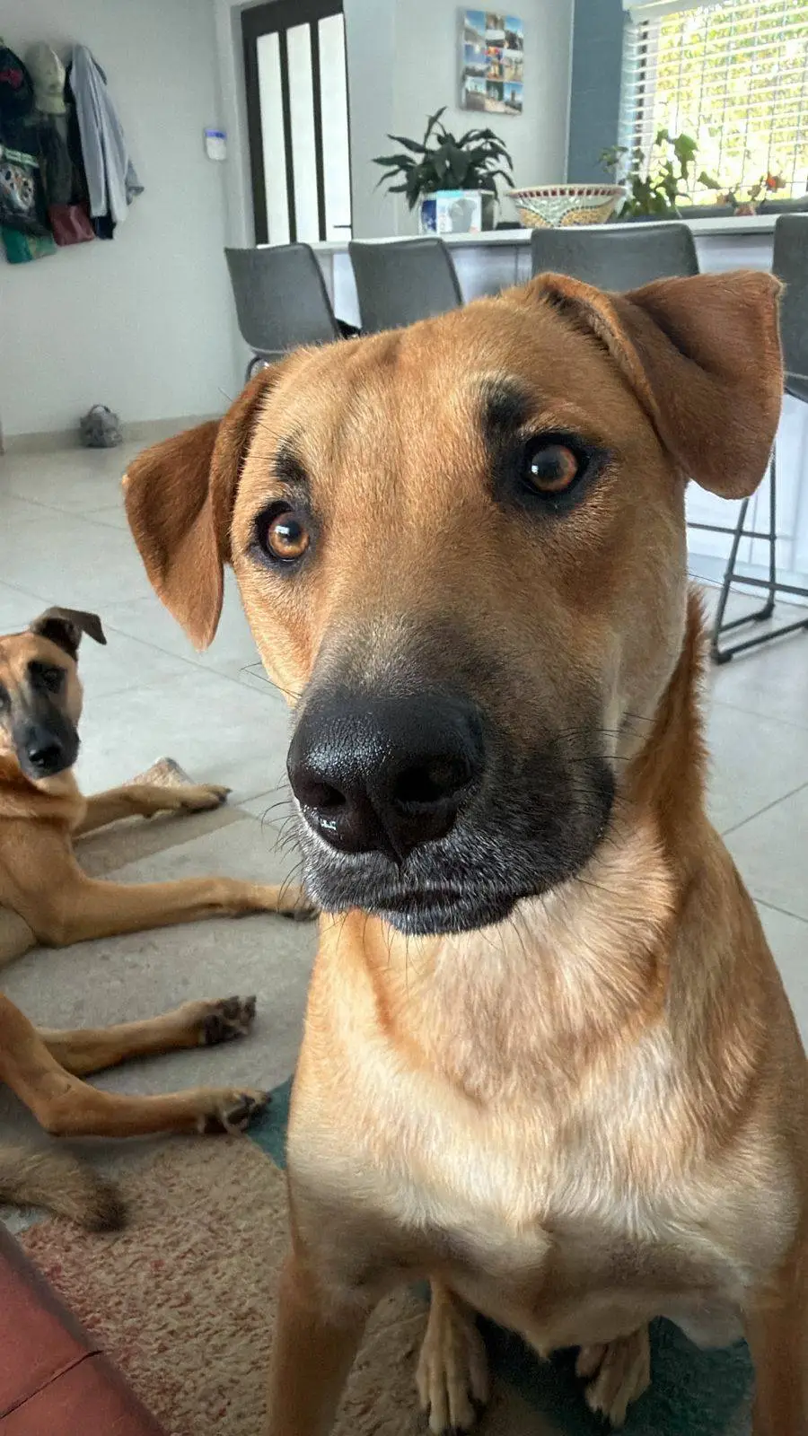 ai character: wesley and charlie background