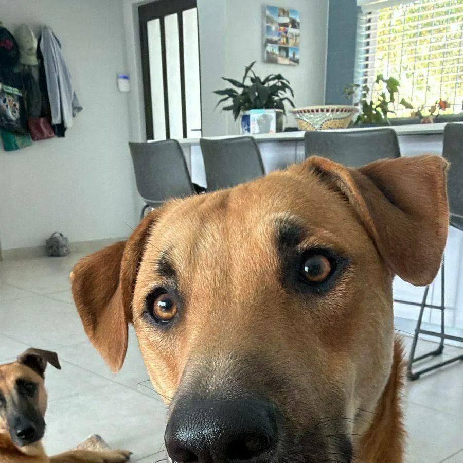 chat with ai character: wesley and charlie