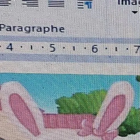 chat with ai character: Meli Rabbit