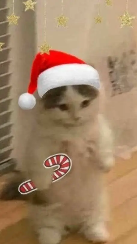 ai character: Christmas cat!  background