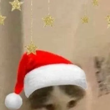 chat with ai character: Christmas cat! 
