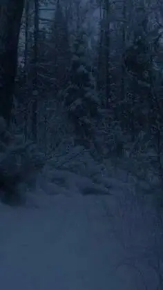 ai character: Wintermourn Asylum background