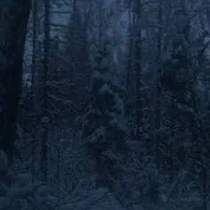 chat with ai character: Wintermourn Asylum