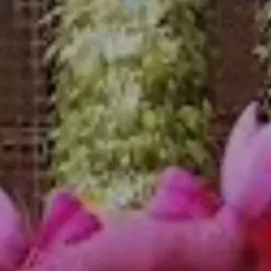 chat with ai character: bebe kissy missy 