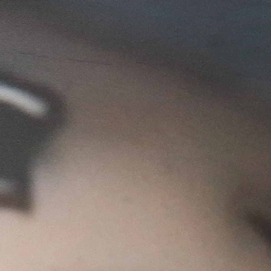 chat with ai character: Wolf Vs Terrible 🐀