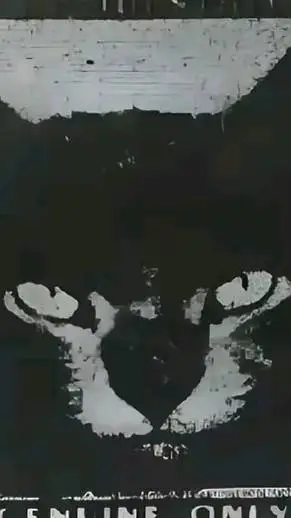 ai character: ®Cat black® background