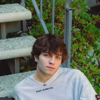 Chat with Sturniolo Triplets - text or voice, Enjoy AI Chat Free & Safe