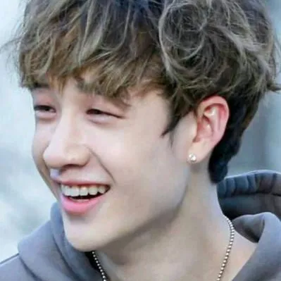 chat with ai character: 🎤BangChan🎹