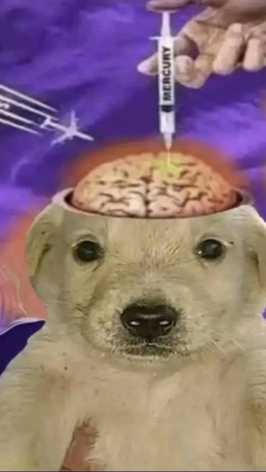 ai character: two time ?...  background