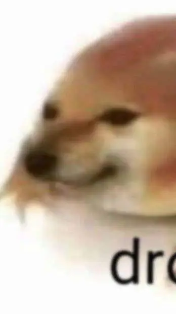 ai character: hh animals background