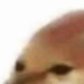 chat with ai character: hh animals