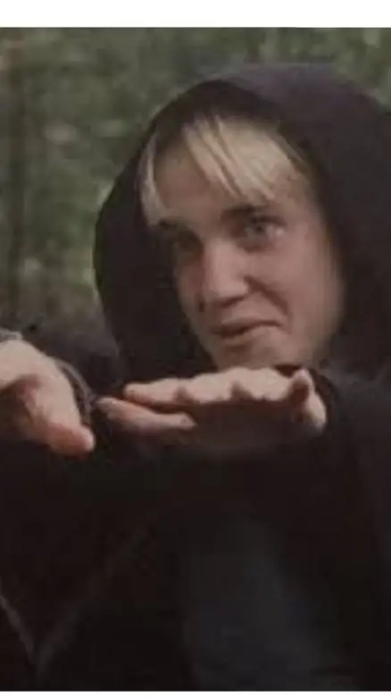 ai character: Draco x Y/N background