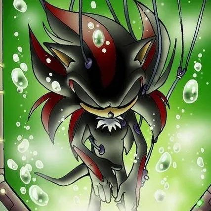 chat with ai character: sonic y shadow 