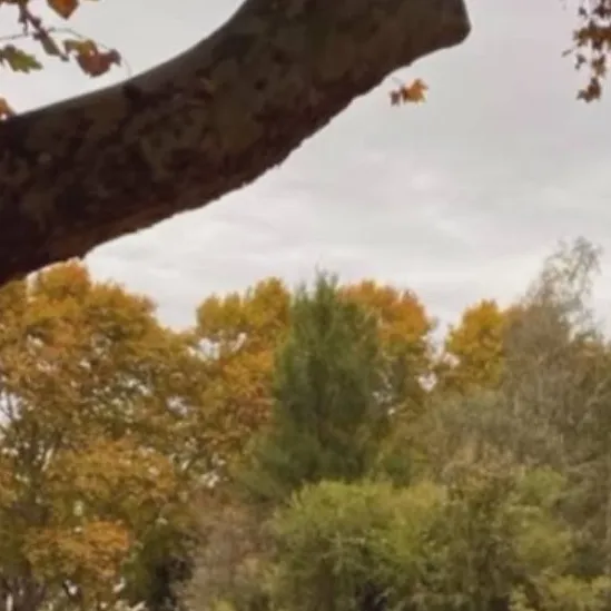 chat with ai character: HYUNLIX