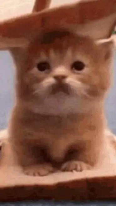 ai character: Yuji,Nobara background